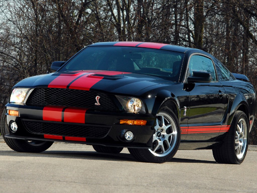 Ford Shelby 2007 photo - 10