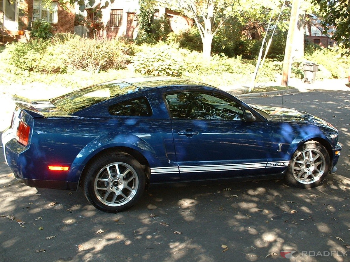 Ford Shelby 2007 photo - 7