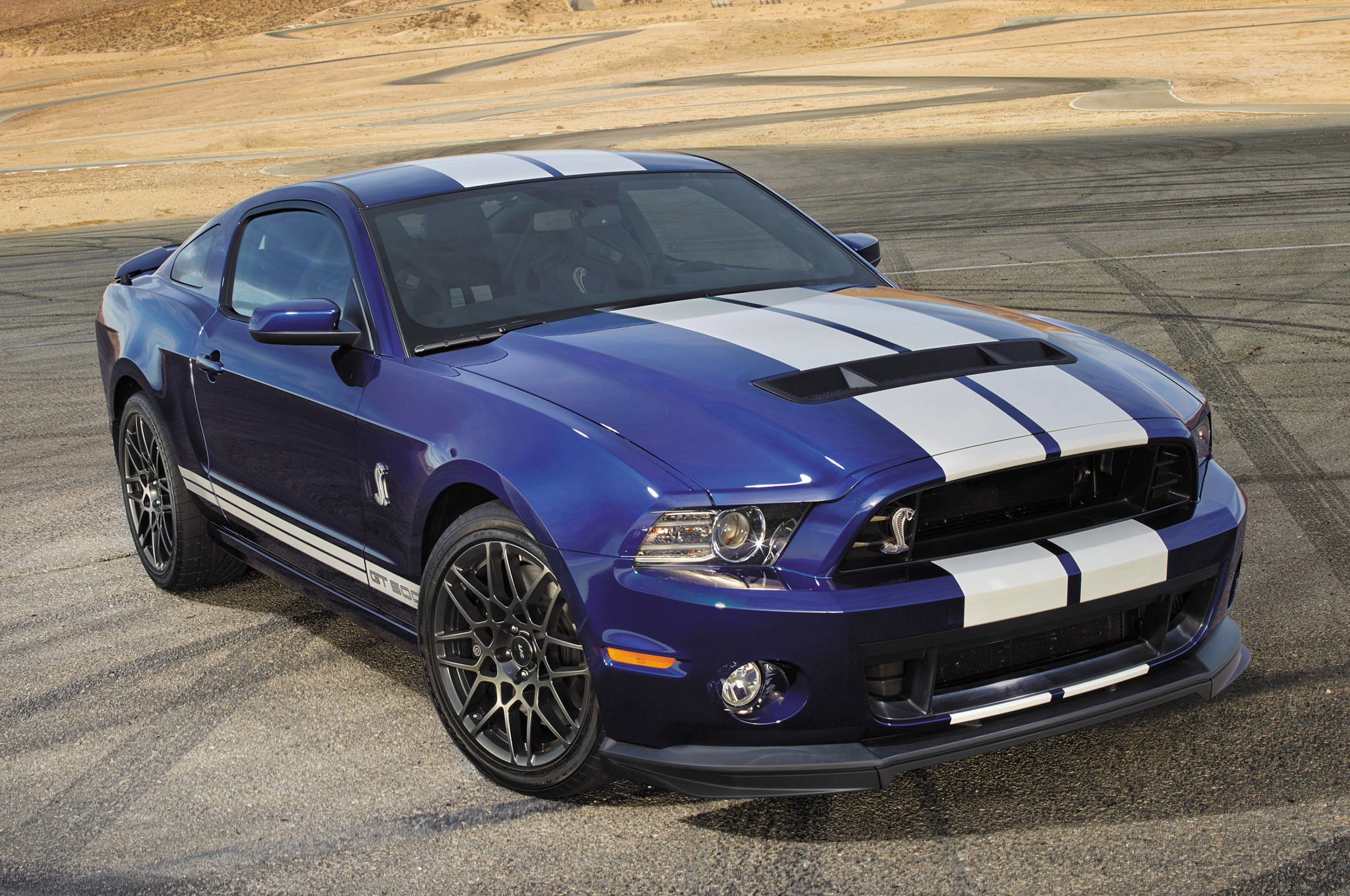 Ford Shelby 2014 photo - 9