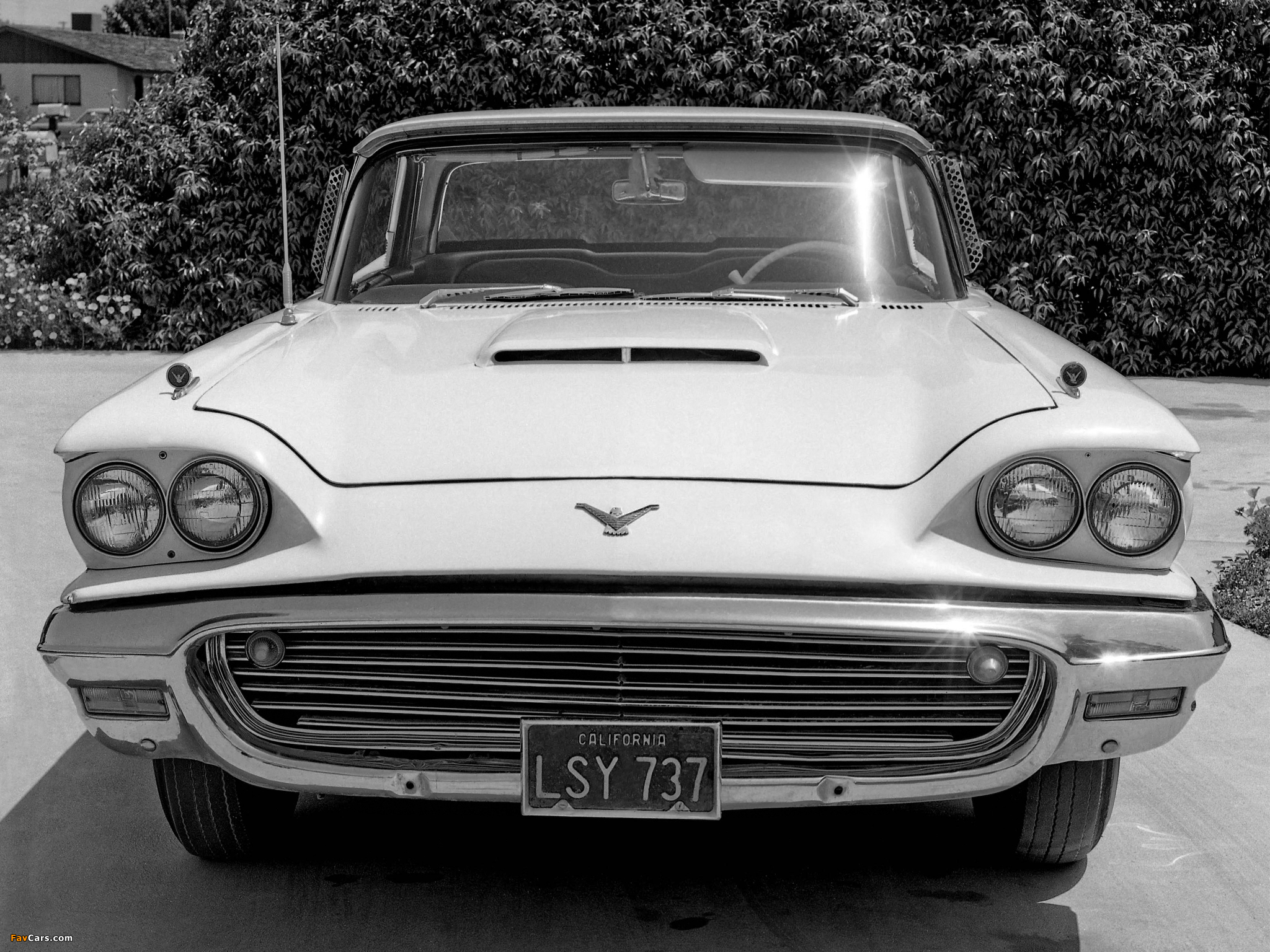Ford Thunderbird 1959 photo - 5
