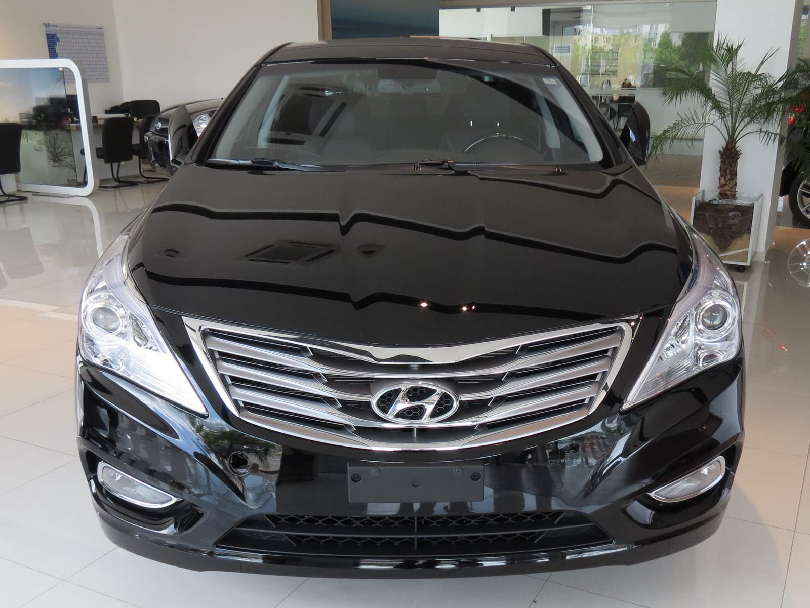 Hyundai Azera 2013 photo - 2